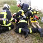 2016-05-21 Kleinhöfllein