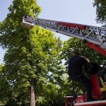 2016-07-23 ActionDayFJ