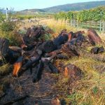 2016-10-01 Brandeinsatz Retz