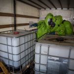 2016-10-08 Schadstoff