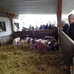 2016-10-11 Senioren_4