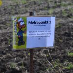 2016-10-22 PlattBericht