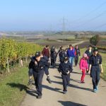 2016-10-22 PlattBericht