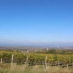 2016-10-22 PlattBericht