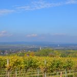 2016-10-22 PlattBericht