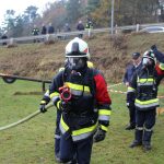 2016-11-20 APLE Pleissing