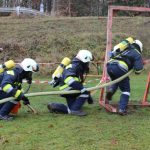 2016-11-20 APLE Pleissing