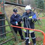 2016-11-20 APLE Pleissing