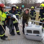 2017-02-12 Agressiver Schwan vor dem Landesklinikum Hollabrunn