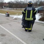 2017-02-12 Agressiver Schwan vor dem Landesklinikum Hollabrunn