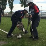 2017-05-15 FJLAGold2