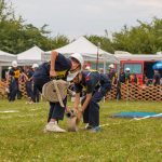 2017-07-15 FJHollabrunn