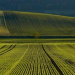 2017-09-11 FJWanderung2