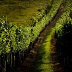 2017-09-11 FJWanderung2