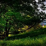 2017-09-11 FJWanderung2