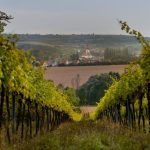 2017-09-11 FJWanderung2