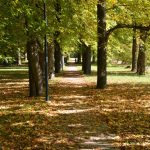 2017-10-14 2Wanderung