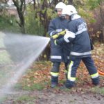 2017-11-25 APLE Breitenwaida