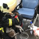 2018-03-06 Wohnhausbrand Roseldorf