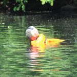 2018-05-13 Wasserdienst