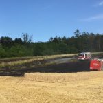 2018-07-05 Flurbrand in Groß