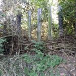 2018-09-18 Senioren
