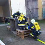 2018-11-20 APAS Gold FF Peigarten