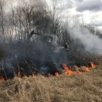 2019-03-08 Fahrezugbrand