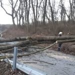 2019-03-11 Sturm1