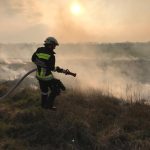 2019-03-25 FlurbrandKadolz