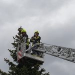 2019-04-27 T1Obernalb