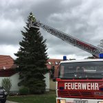 2019-04-27 T1Obernalb