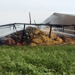 2019-07-07 Scheunenbrand