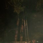 2019-10-17 Tierretung