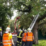 2020-06-19 Sturmschaden Retz