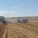 2020-10-10 Mähdrescher