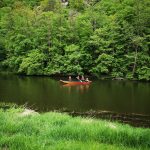 2021-05-18 WD FJ Info 2021