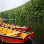 2021-05-18 WD FJ Info 2021