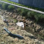 2021-06-04 Bezirksschadstoffübung