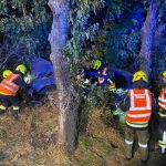 2021-09-26 T1 Pulkau