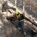 2021-10-18 Waldbrand Rax