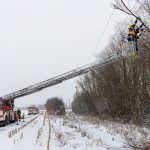2021-12-11 Baum in Stromleitung