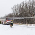 2021-12-11 Baum in Stromleitung