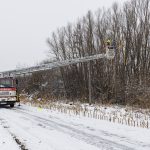 2021-12-11 Baum in Stromleitung