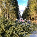 2022-01-31 Sturm Nadia