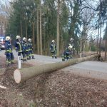 2022-01-31 Sturm Nadia