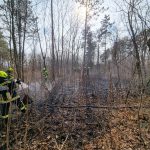 2022-03-18 Waldbrand
