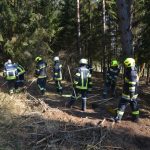 2022-03-19 Bezirksmodul Waldbrandbekämpfung