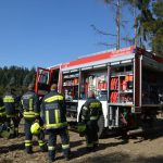 2022-03-19 Bezirksmodul Waldbrandbekämpfung