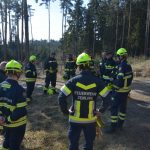 2022-03-19 Bezirksmodul Waldbrandbekämpfung